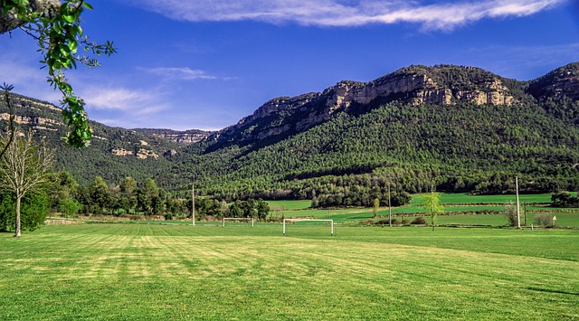 process, Oregon, probate, understanding, court, estate
