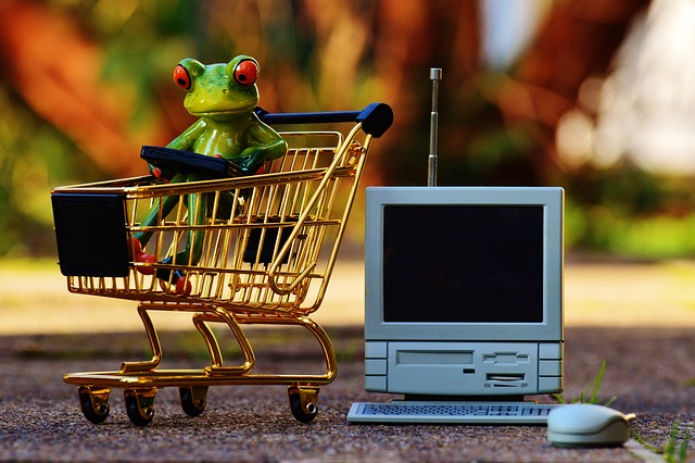 pros, cons, online, benefits, drawbacks, evaluation
