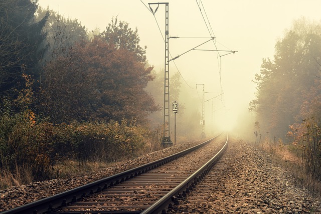 Oregon Railroad Expansion: Lane County’s Historical Economic & Cultural Narrative