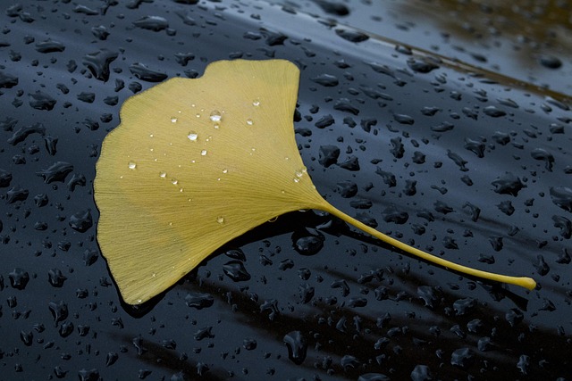 rainwater