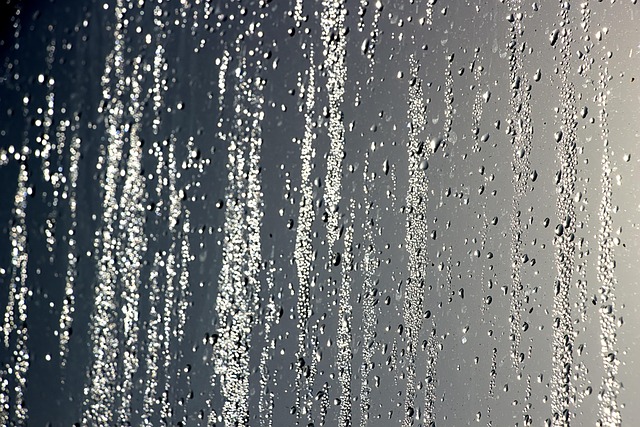 rainwater