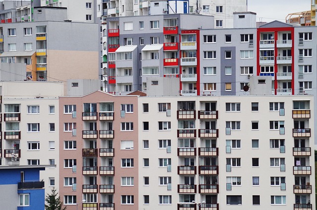 real estate, screening, agents, safety, verification, compliance