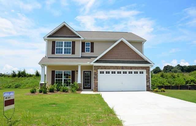 Selling a House with Mold? Fix, Remediate, and Prevent for Success