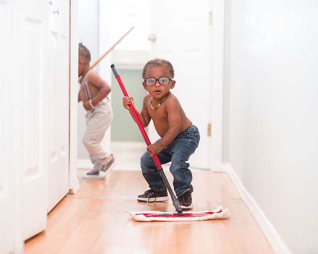 remediation, cleaning, professional, mold, safety, removal