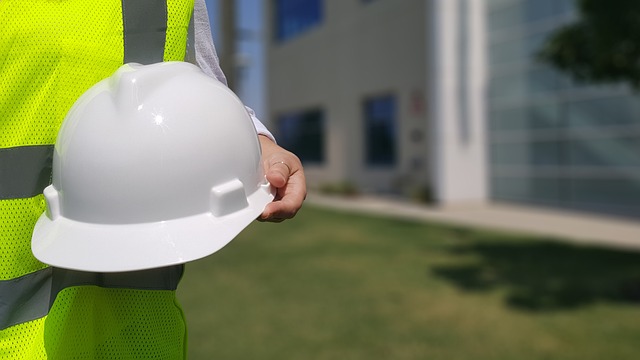 remediation, cleaning, professional, mold, safety, removal
