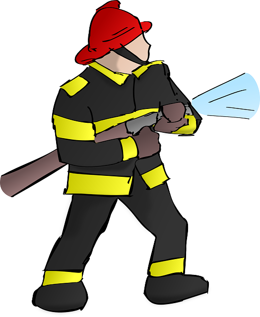 remediation, cleaning, professional, mold, safety, removal
