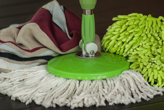 remediation, cleaning, professional, mold, safety, removal