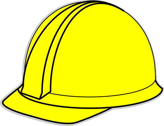 remediation, cleaning, professional, mold, safety, removal