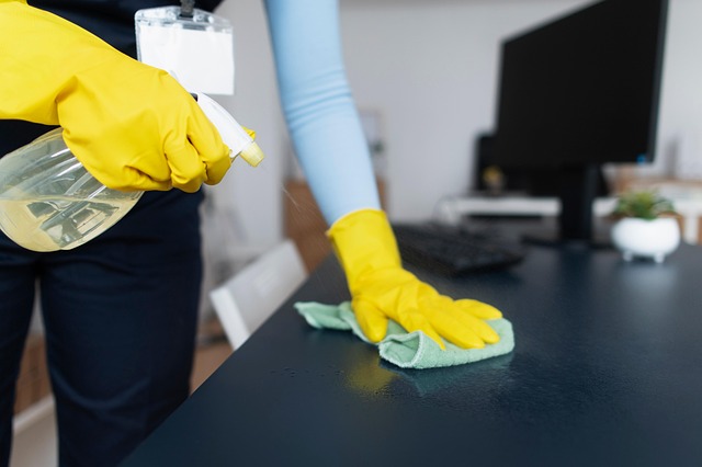 remediation, cleaning, professional, mold, safety, removal