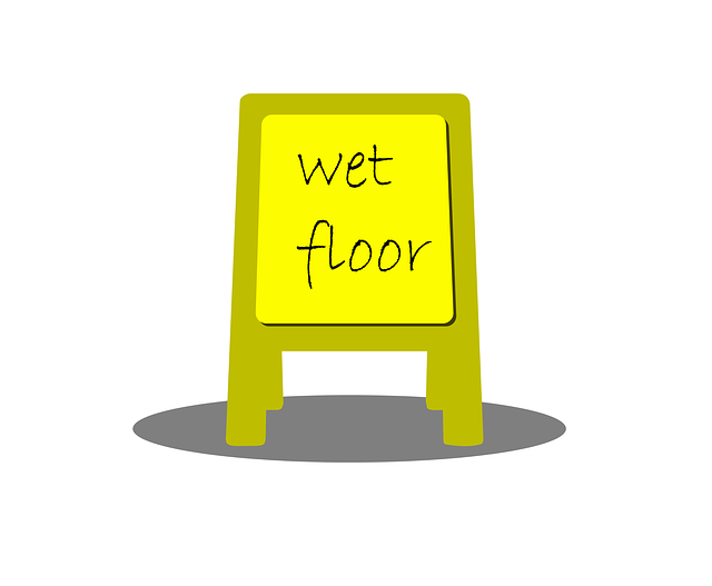 remediation, cleaning, professional, mold, safety, removal