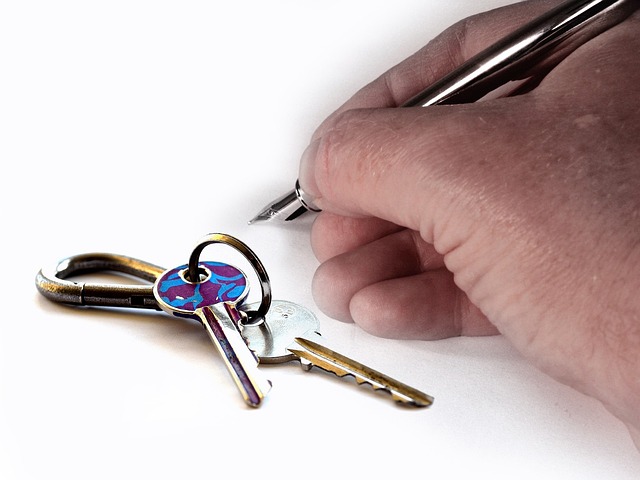 rental, tenant, checks, credit, history, landlord