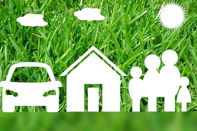 rental, tenant, checks, credit, history, landlord