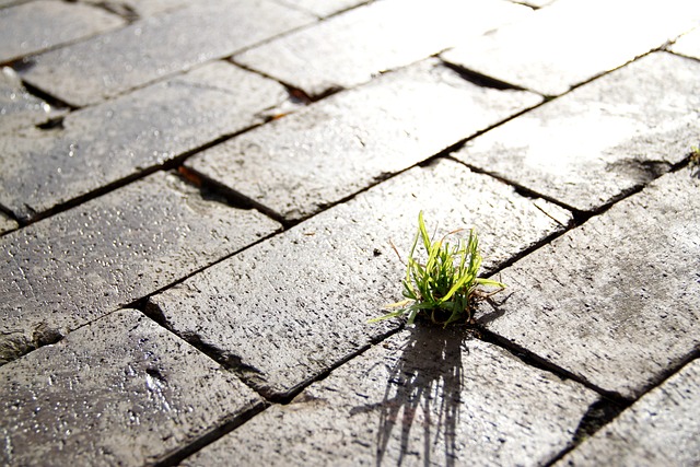 resilience