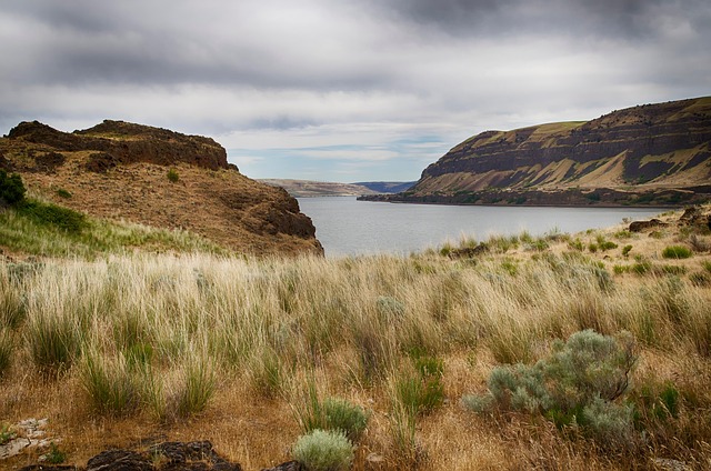resources, Oregon, legal, support, commitment, assistance