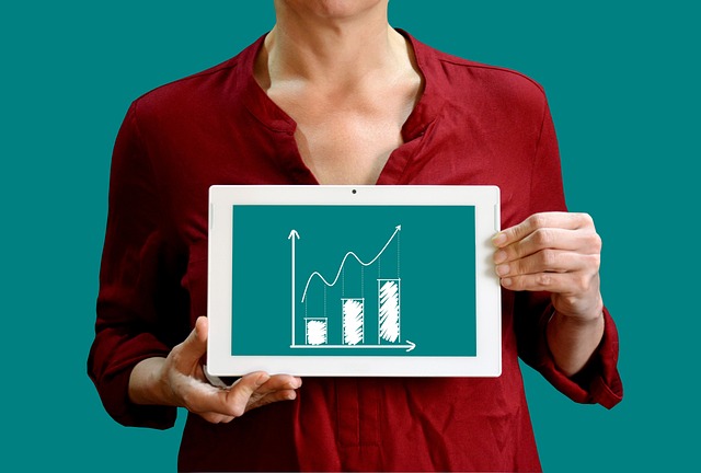 revenue, finance, business, growth, funding, repayment