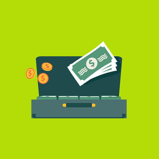 revenue, finance, business, growth, funding, repayment