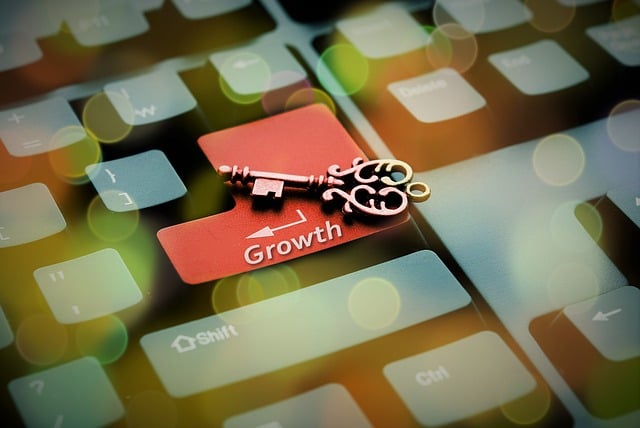 revenue, finance, business, growth, funding, repayment