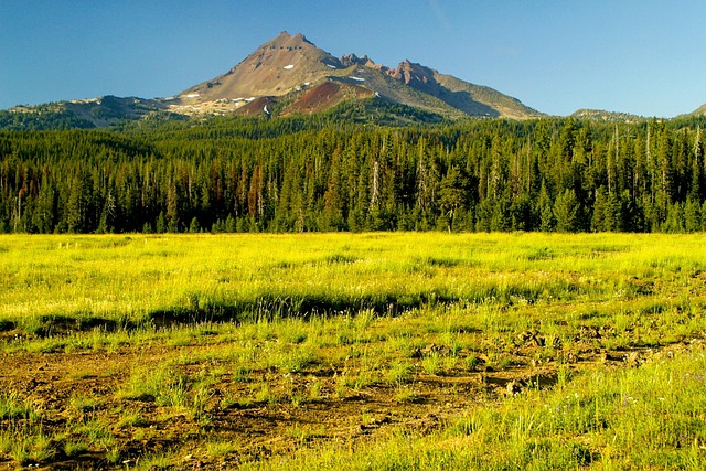 rights, investigation, protection, Oregon, legal, fair