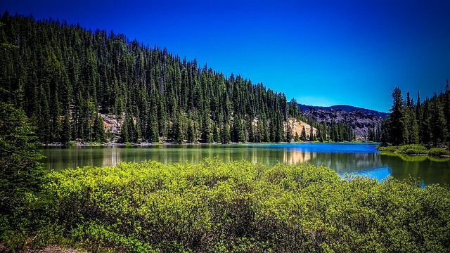 rights, investigation, protection, Oregon, legal, fair