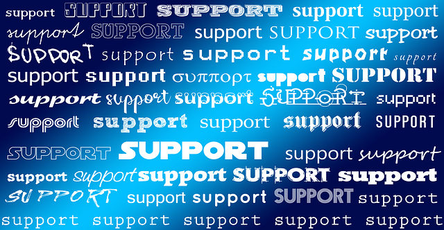 Rights, responsibilities, support, legal, duties, obligations