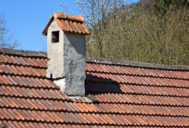 roofline,roof,shingle roof,tile roof,