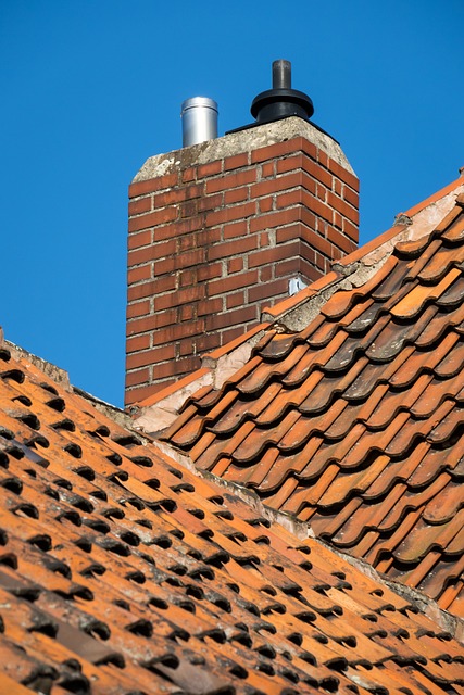 roofline,roof,shingle roof,tile roof,