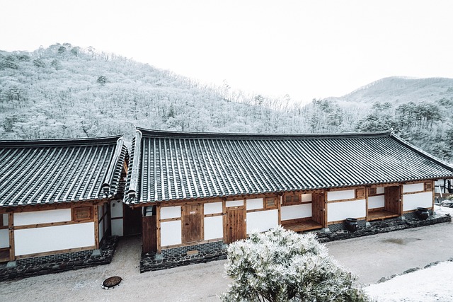 roofline,roof,shingle roof,tile roof,