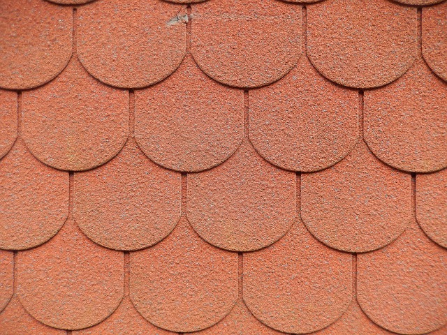 roofline,roof,shingle roof,tile roof,
