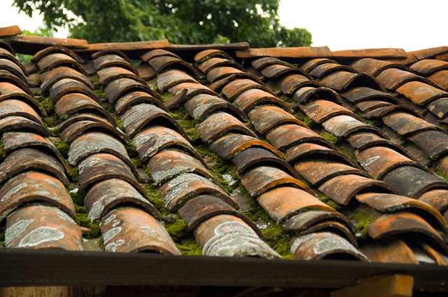 roofline,roof,shingle roof,tile roof,