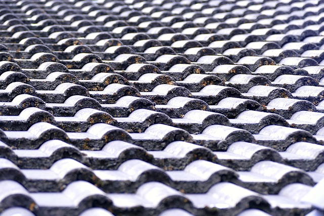 roofline,roof,shingle roof,tile roof,