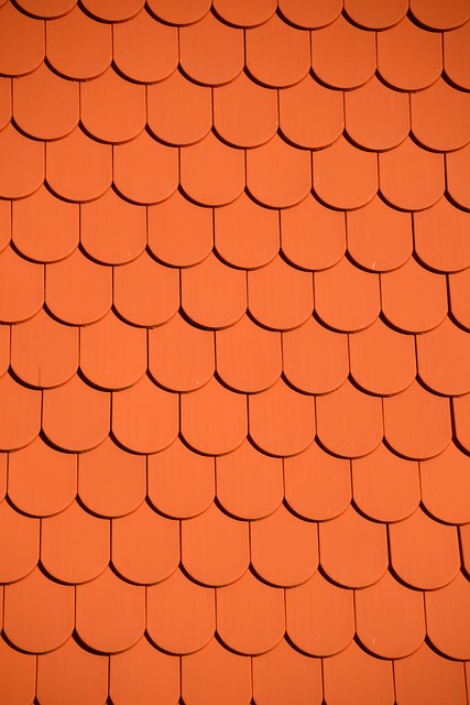 roofline,roof,shingle roof,tile roof,