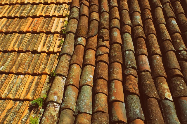 rooflineroofshingle-rooftile-roof-640x480-20015005.jpeg