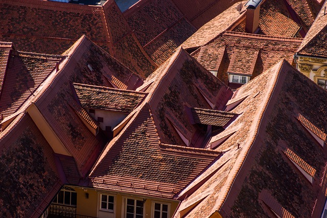 roofline,roof,shingle roof,tile roof,