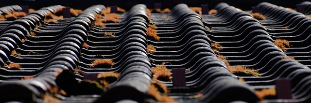 roofline,roof,shingle roof,tile roof,