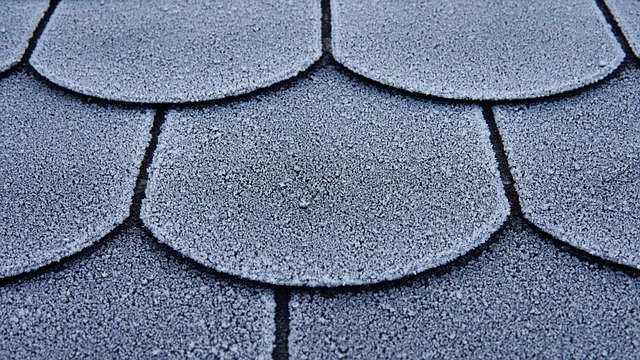 roofline,roof,shingle roof,tile roof,