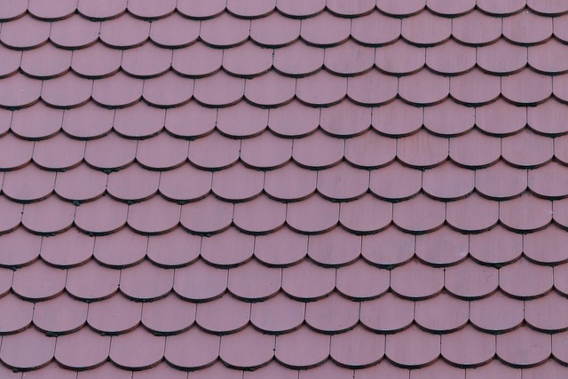 roofline,roof,shingle roof,tile roof,