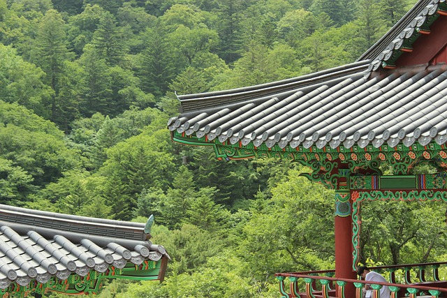 roofline,roof,shingle roof,tile roof,