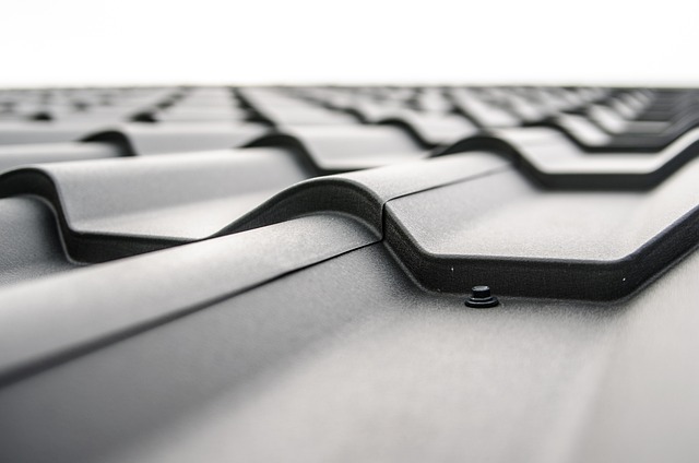 Expert Roof Care: Navigating Eugene Oregon’s Challenges for Longevity
