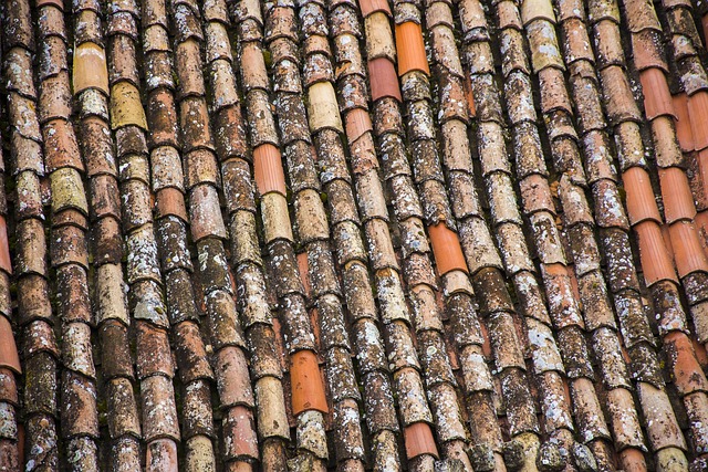 roofline,roof,shingle roof,tile roof,
