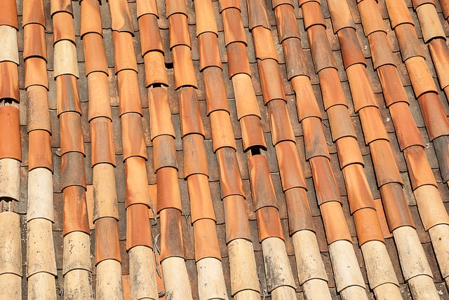 roofline,roof,shingle roof,tile roof,