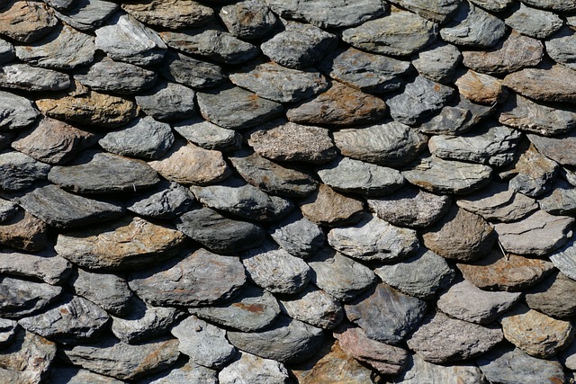roofline,roof,shingle roof,tile roof,