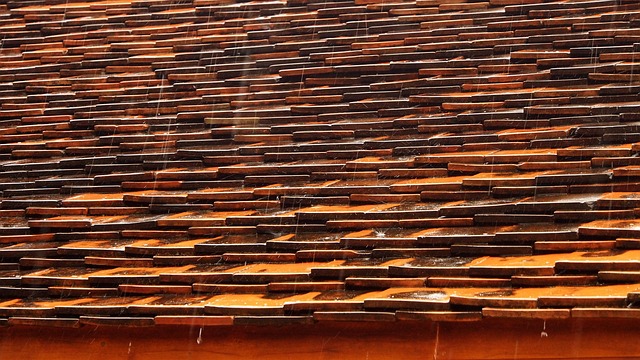 roofline,roof,shingle roof,tile roof,