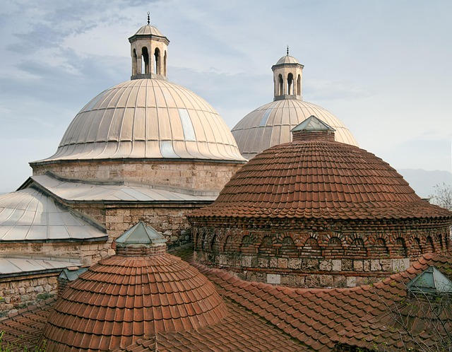 roofline,roof,shingle roof,tile roof,