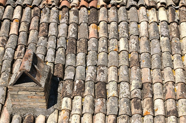 rooflineroofshingle-rooftile-roof-640x480-40320853.jpeg