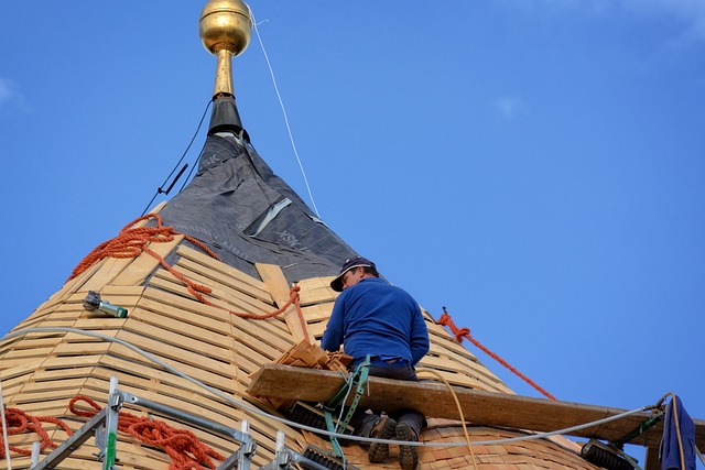 roofline,roof,shingle roof,tile roof,