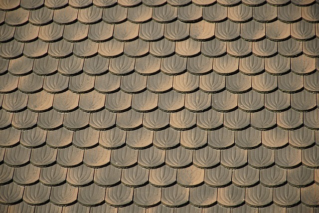 roofline,roof,shingle roof,tile roof,