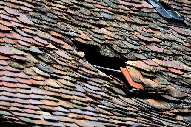 rooflineroofshingle-rooftile-roof-640x480-44536997.jpeg