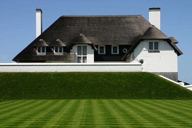 roofline,roof,shingle roof,tile roof,