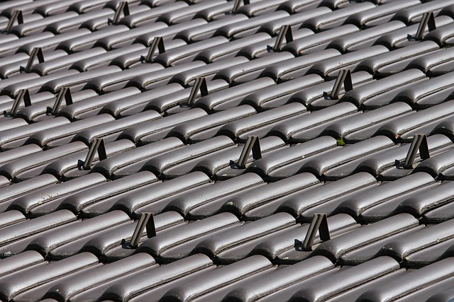 roofline,roof,shingle roof,tile roof,
