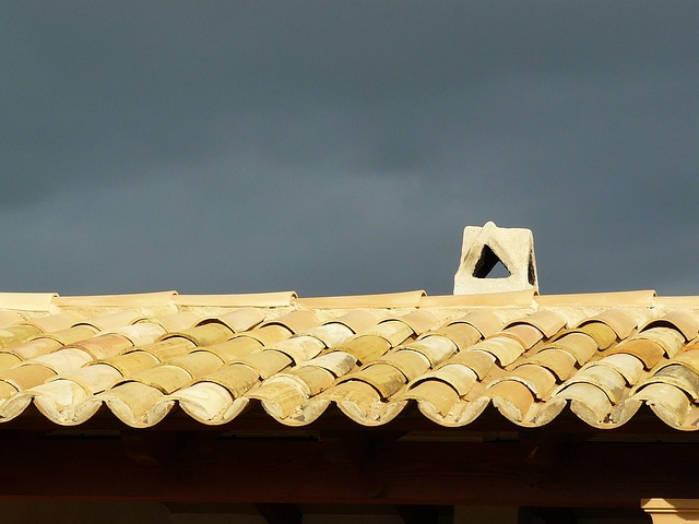 roofline,roof,shingle roof,tile roof,